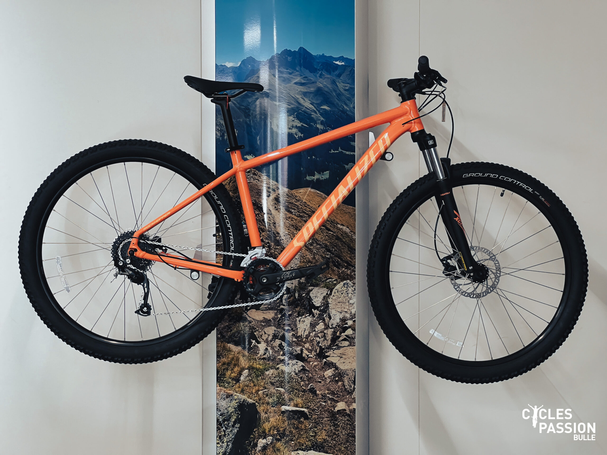 Specialized Rockhopper 29 sport